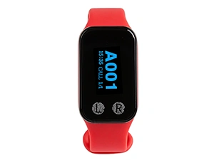 200VT Wristwatch Receiver