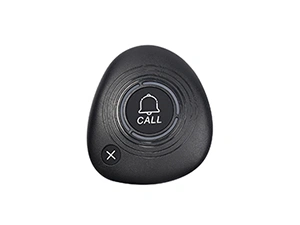 2 Button Pager